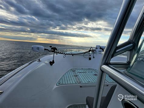 Daily Delaware Bay Fishing Reports (August 2024).